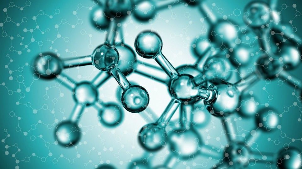 ¿Qué son los activos neurosensoriales?